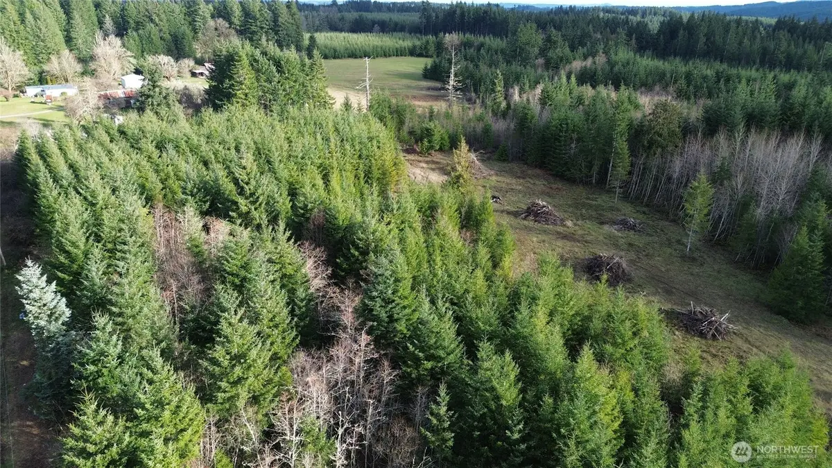 9605 Prather Road Sw #4, Rochester, WA 98579 - #1