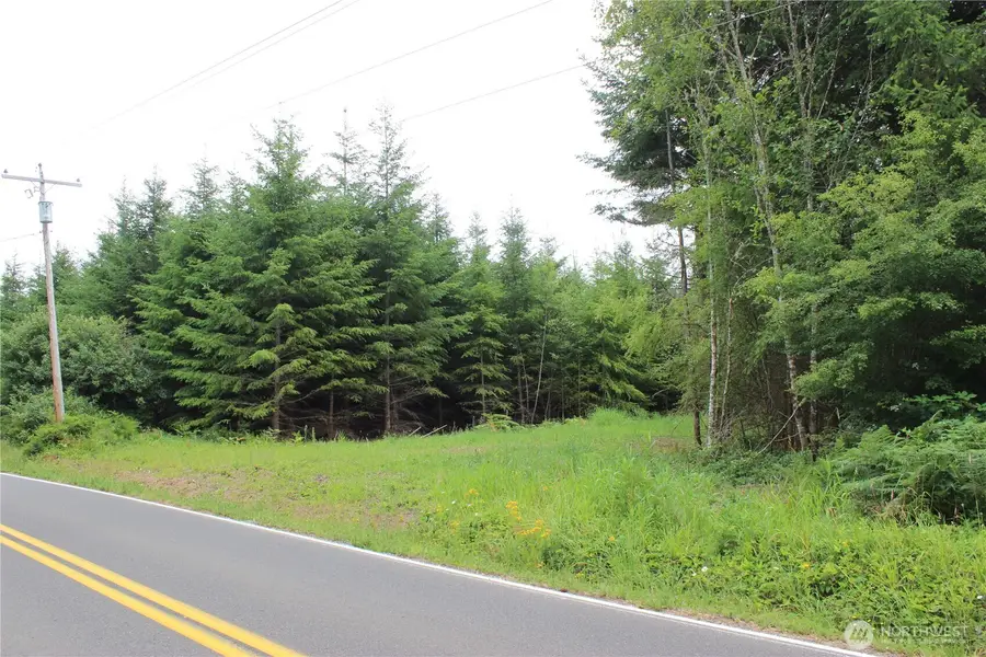 9605 Prather Road Sw #4, Rochester, WA 98579 - #3