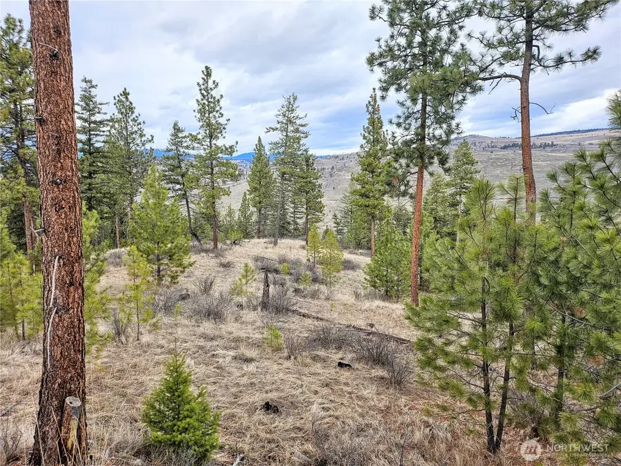 315 W Corral Drive, Oroville, WA 98844 - #2