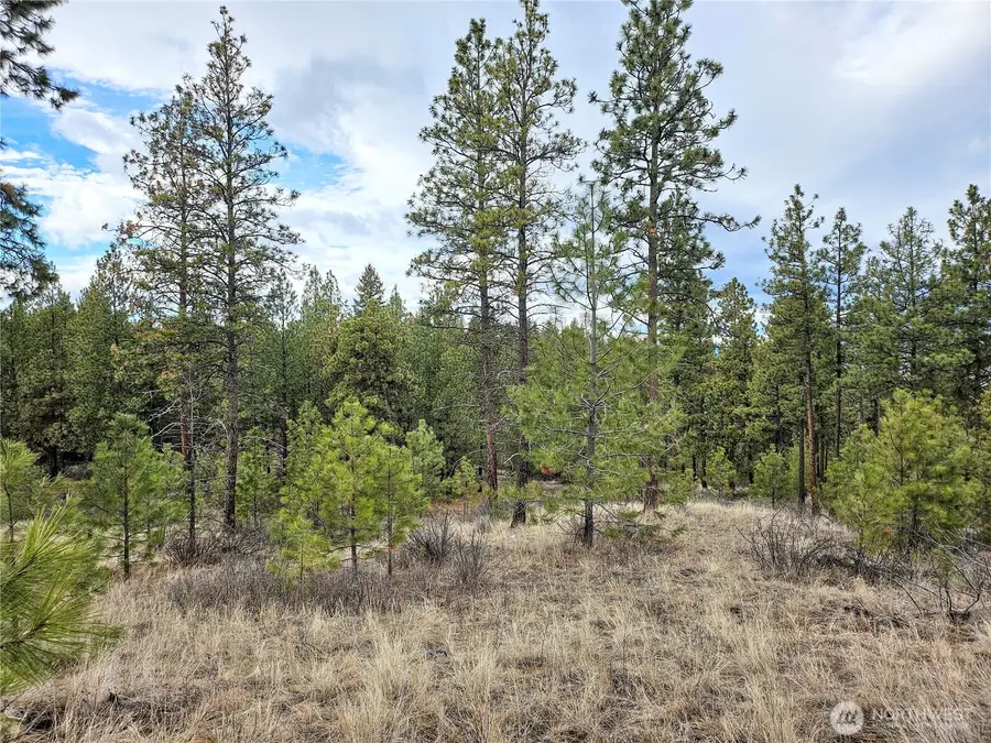 315 W Corral Drive, Oroville, WA 98844 - #3