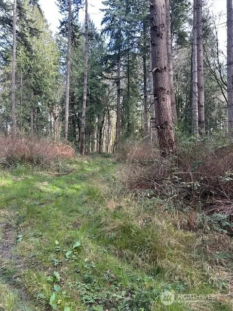 0 Hellman Road, Clinton, WA 98236 - #3