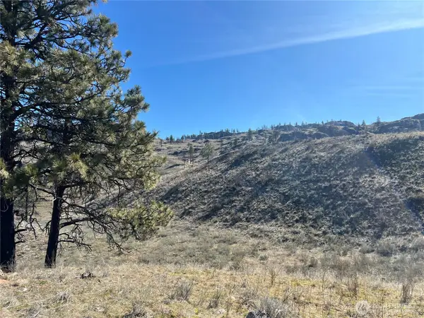 0 Soap Lake Road, Malott, WA 98829