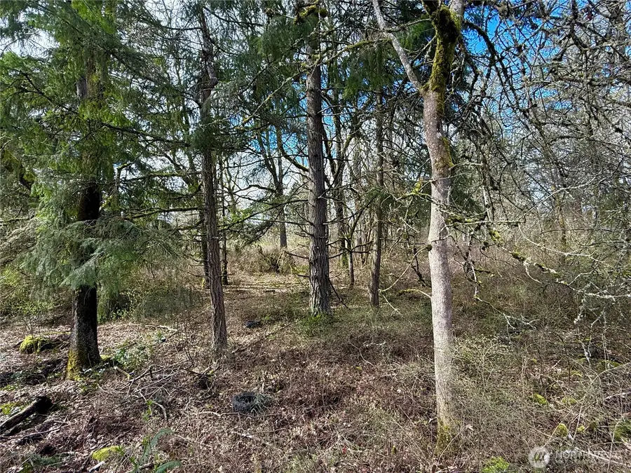 35208 88th Avenue, McKenna, WA 98558 - #2