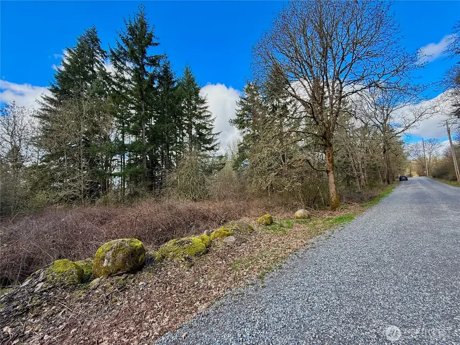 35208 88th Avenue, McKenna, WA 98558 - #3