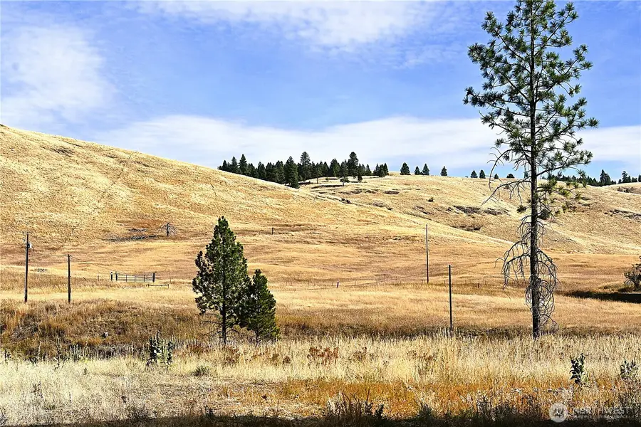 81 Rose Valley Rd, Republic, WA 99166 - #3