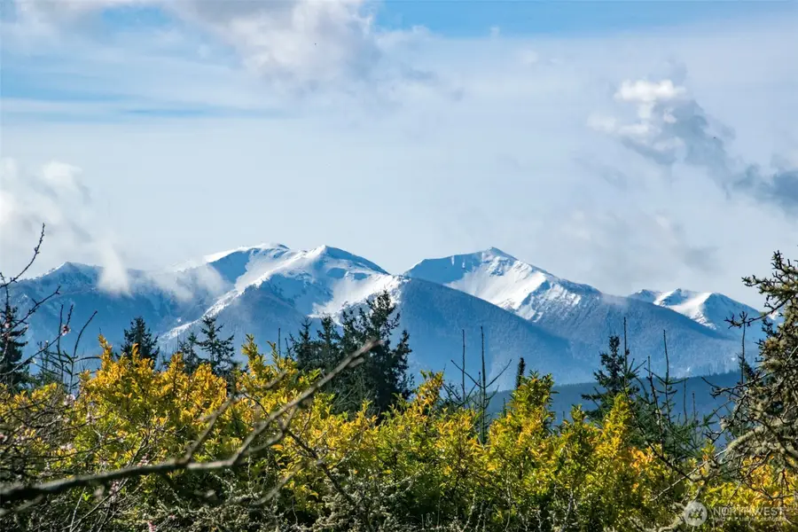 272 Grandview Drive, Sequim, WA 98382 - #3