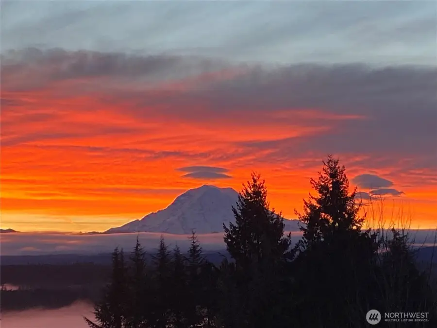 13623 113th Street Ct E, Puyallup, WA 98374 - #3