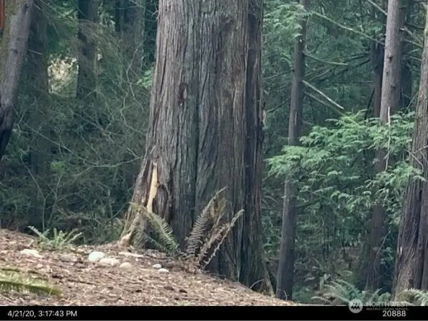 148 Polo Park Drive #55, Bellingham, WA 98229 - #3