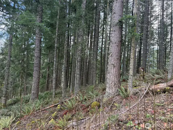 53007 128th Avenue E, Eatonville, WA 98328