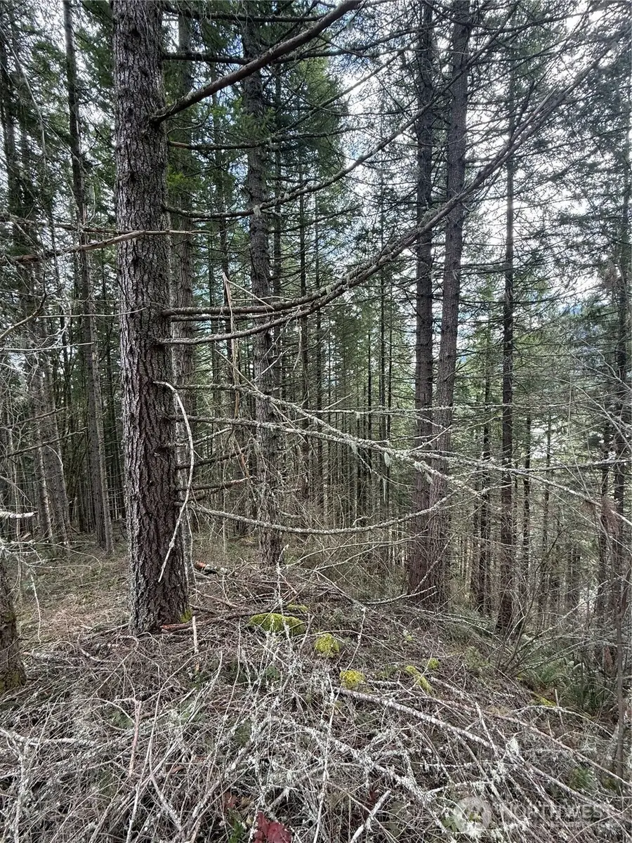 53007 128th Avenue E, Eatonville, WA 98328 - #3