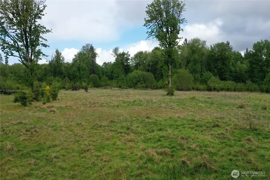 0 W Maple Rock Road #29, Matlock, WA 98560 - #3