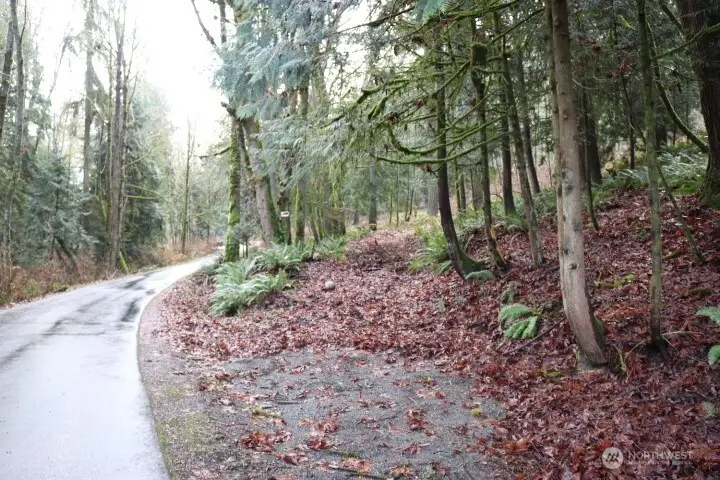 18700 SE 64th Way, Issaquah, WA 98027 - #1