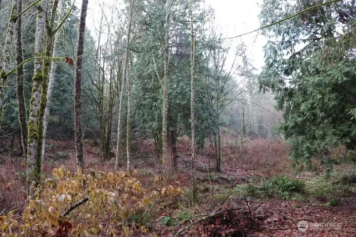 18700 SE 64th Way, Issaquah, WA 98027 - #2