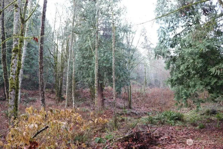 18700 SE 64th Way, Issaquah, WA 98027 - #3