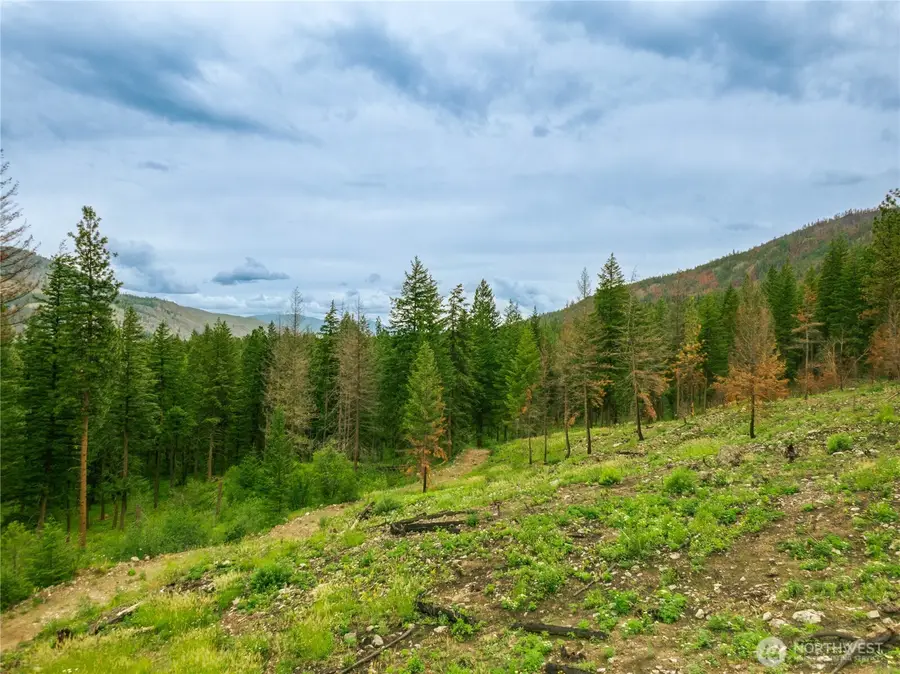 0 Wolf Creek Road #TAX 24 PT SW, Mazama, WA 98833 - #2