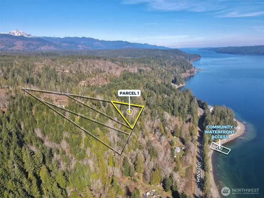 61 Devereaux Drive #Tract 1, Lilliwaup, WA 98555 - #3
