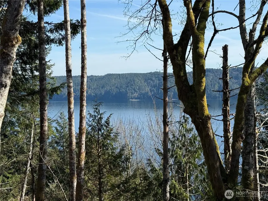 63 Devereaux Drive, Lilliwaup, WA 98555 - #2