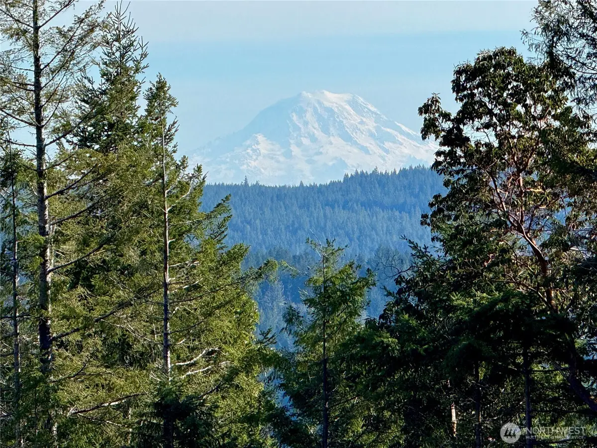 65 Devereaux Drive, Lilliwaup, WA 98555 - #1