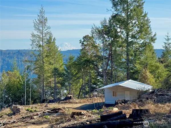 67 Devereaux Drive #Tract 4, Lilliwaup, WA 98555