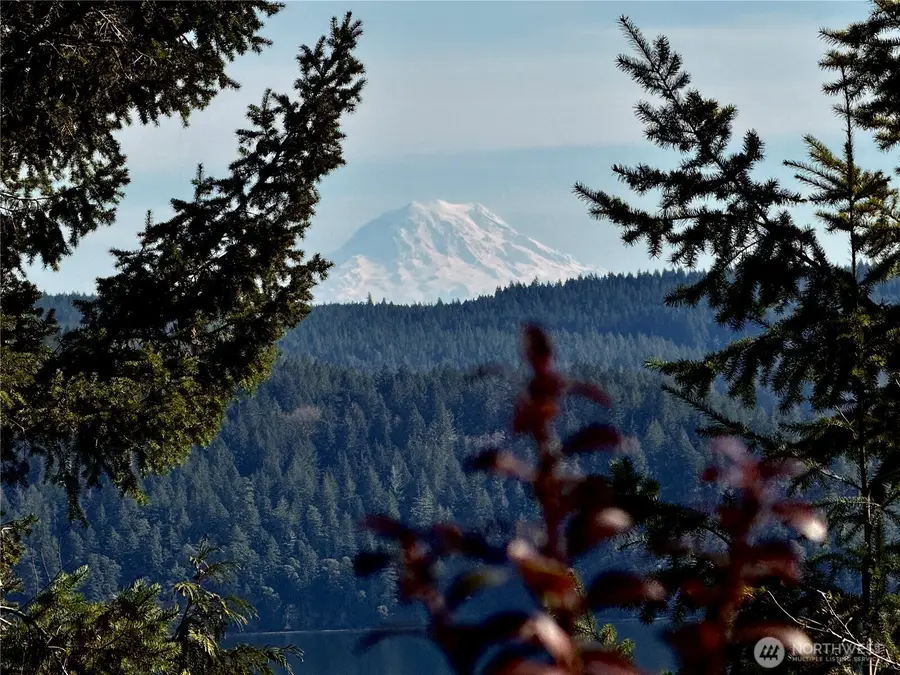 67 Devereaux Drive #Tract 4, Lilliwaup, WA 98555 - #2