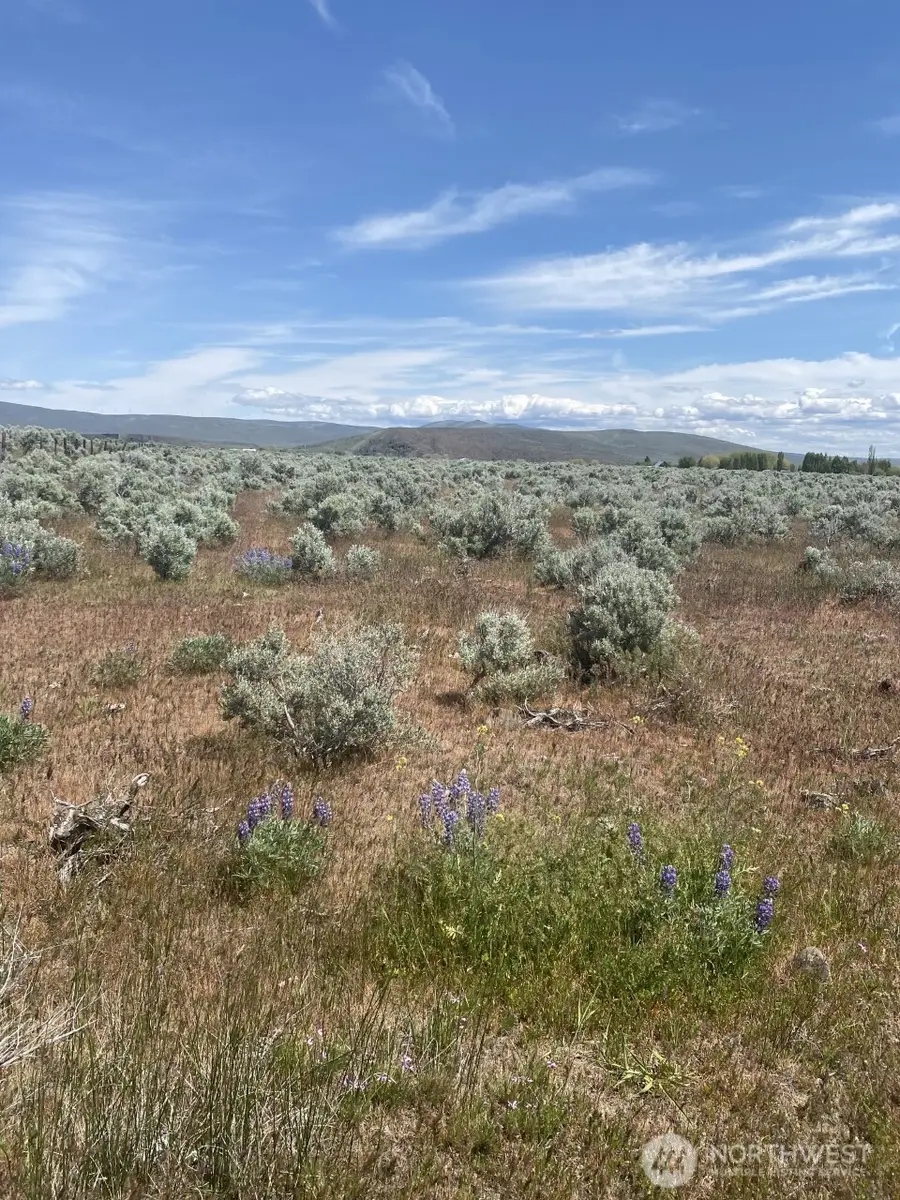 1160 Lester Road #1A, Ellensburg, WA 98926 - #3