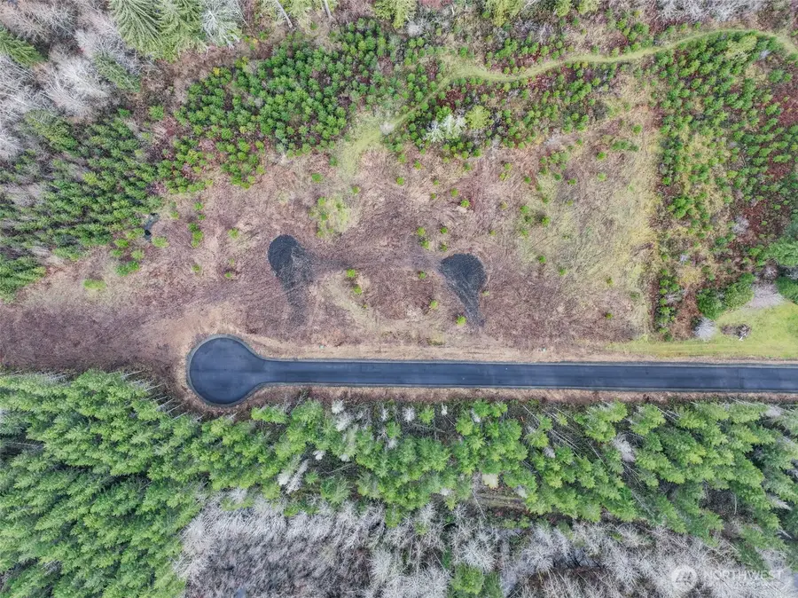 0 Larson Road #4, McCleary, WA 98557 - #2