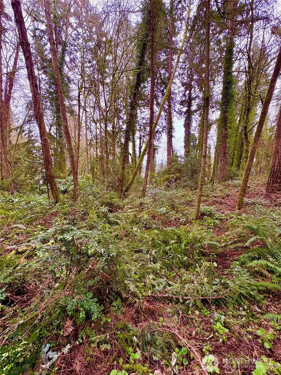 0 SW 230th Street, Vashon, WA 98070 - #1