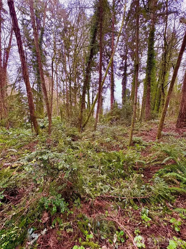 0 SW 230th Street, Vashon, WA 98070