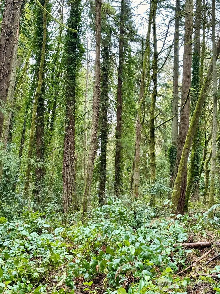 0 SW 230th Street, Vashon, WA 98070 - #3