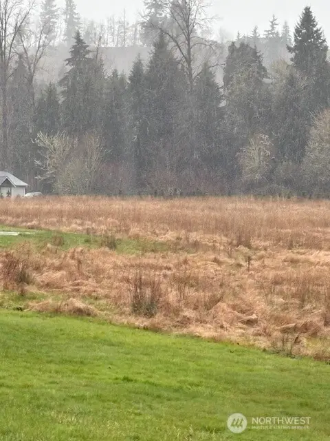 102 Maulwee Drive, Silver Creek, WA 98585 - #1