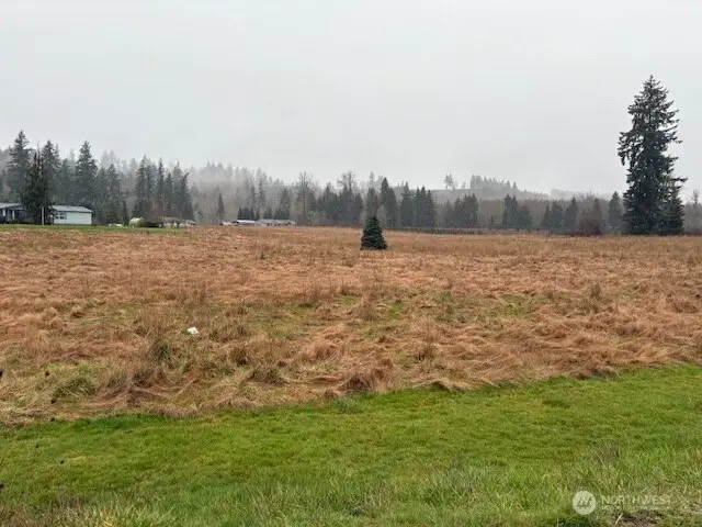 102 Maulwee Drive, Silver Creek, WA 98585 - #2