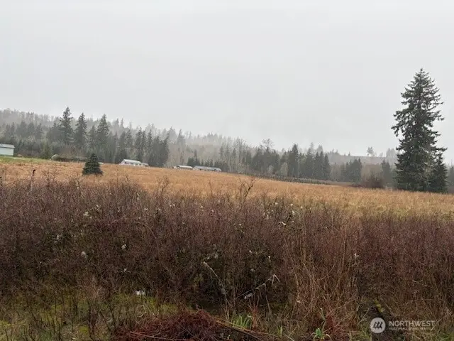 102 Maulwee Drive, Silver Creek, WA 98585 - #3