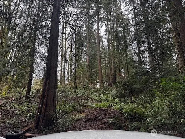 27120 NE 152nd Street, Duvall, WA 98019 - #1