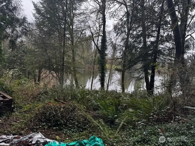 27120 NE 152nd Street, Duvall, WA 98019 - #3