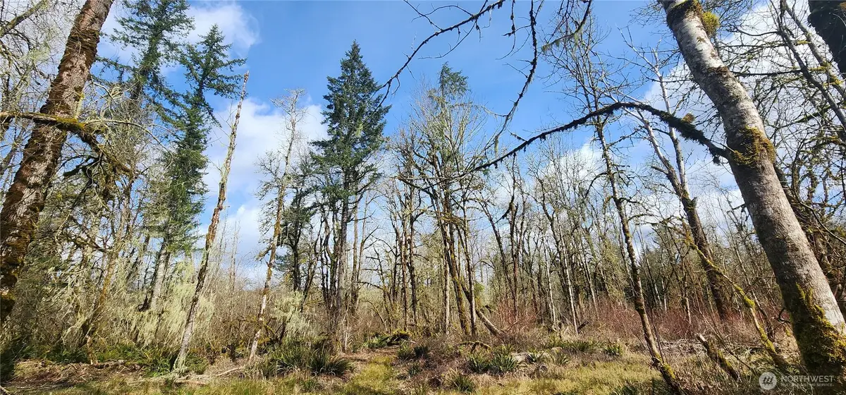 0 Justus Rd, Cinebar, WA 98533 - #1