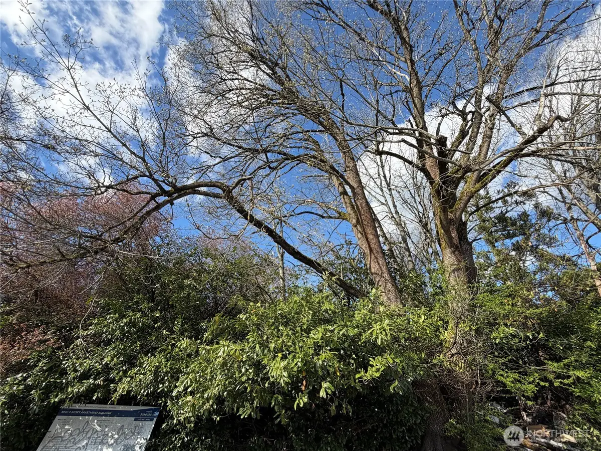 5722 35th Avenue S, Seattle, WA 98118 - #1