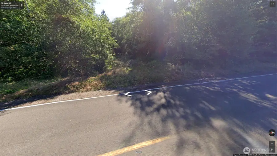 56 Ranta Road #19, South Bend, WA 98586 - #3