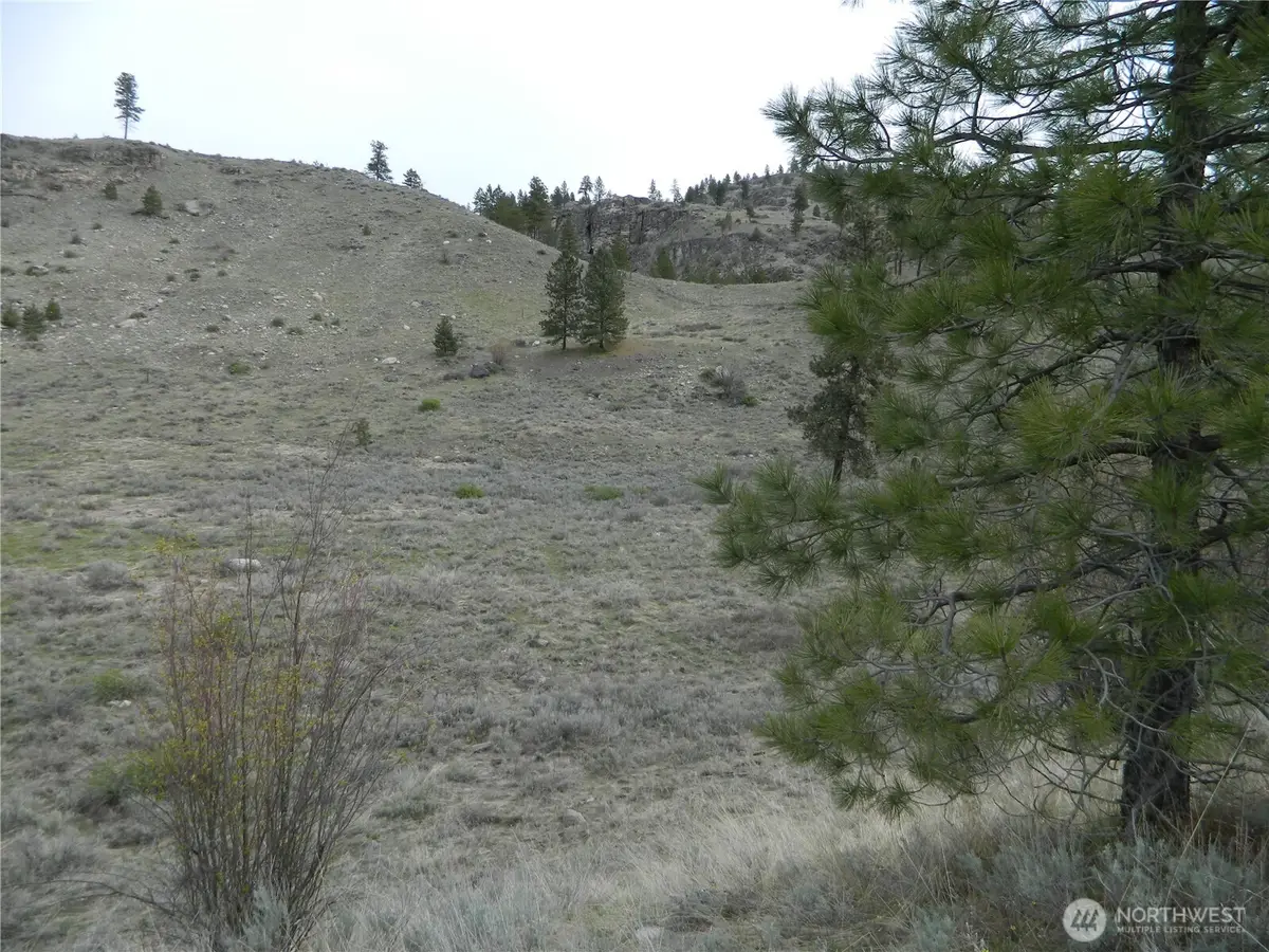11 Tbd Six Gun Way, Tonasket, WA 98855 - #1