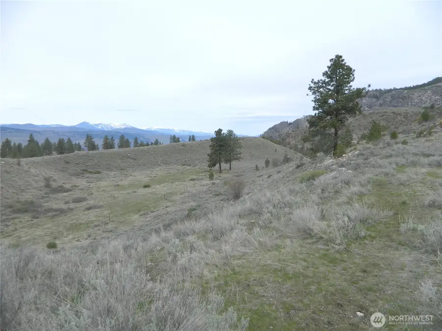 11 Tbd Six Gun Way, Tonasket, WA 98855 - #3