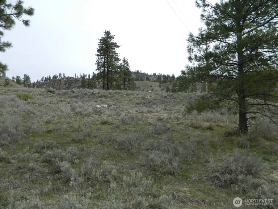 0 Tbd Six Gun Way, Tonasket, WA 98855 - #3