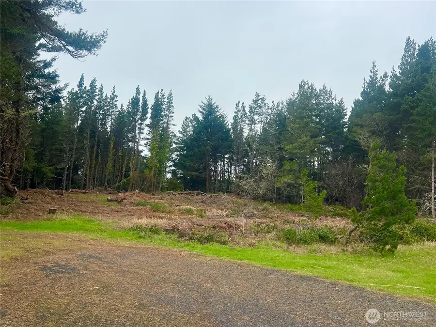 1301 178th Place W, Long Beach, WA 98631 - #3