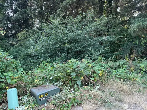 0 NE Wanda Court #28, Belfair, WA 98528