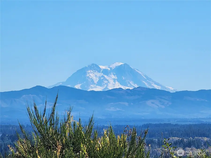 0 Hale Road, Winlock, WA 98596 - #2