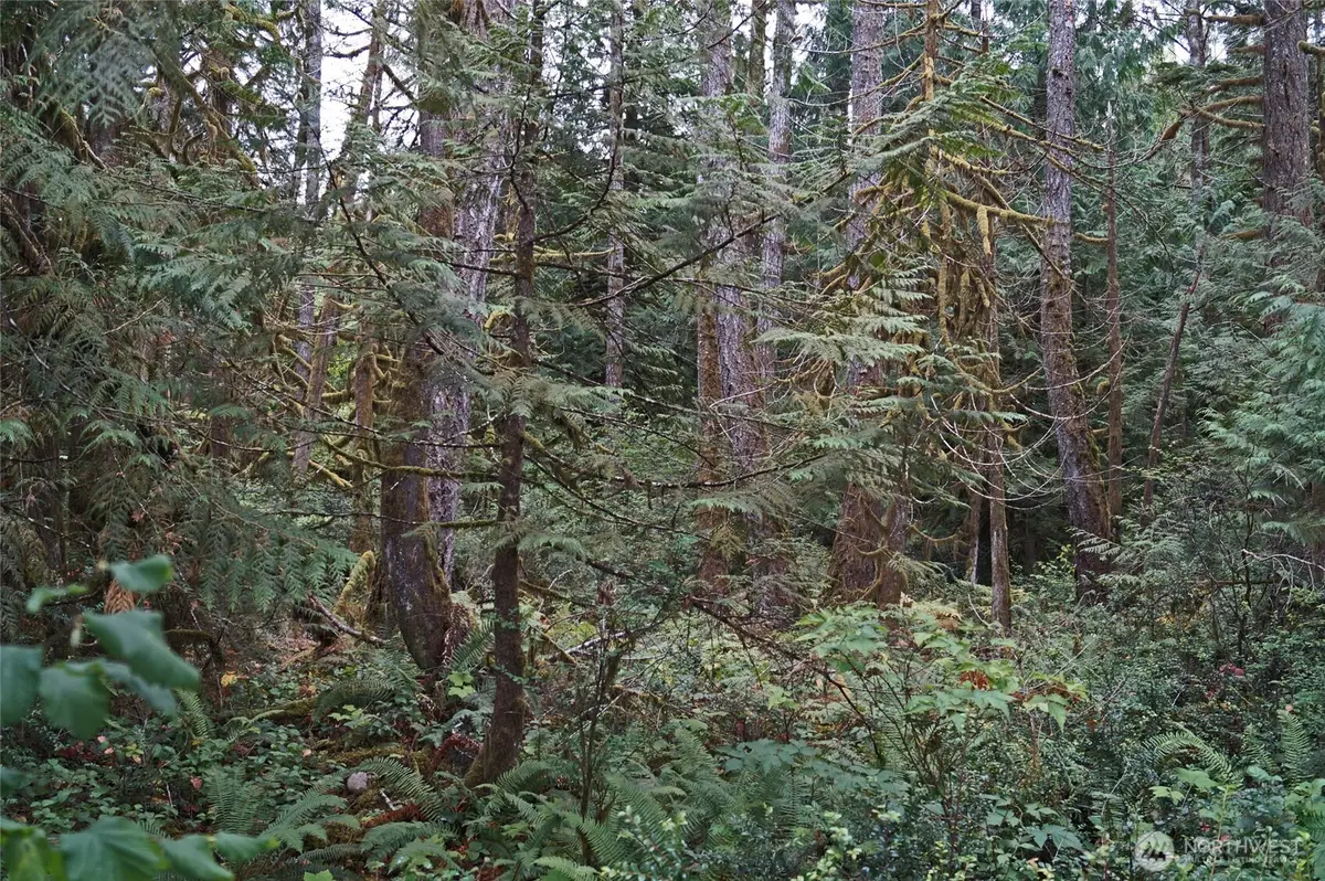 15501 N Us Highway 101 #N 1/2 Lot 3, Shelton, WA 98584 - #1