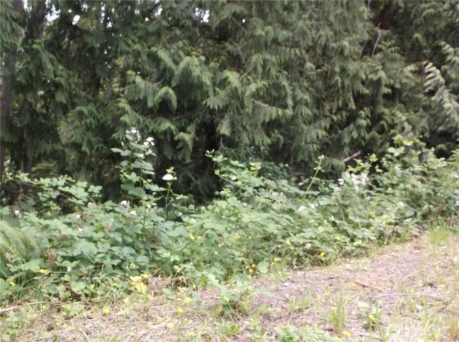 18012 123rd Place Ne #38, Arlington, WA 98223 - #3