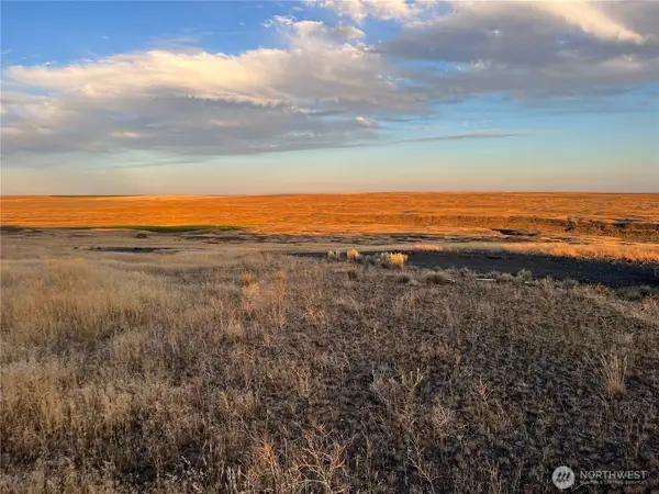 45 Eagle Springs Ranch #45, Wilson Creek, WA 98860