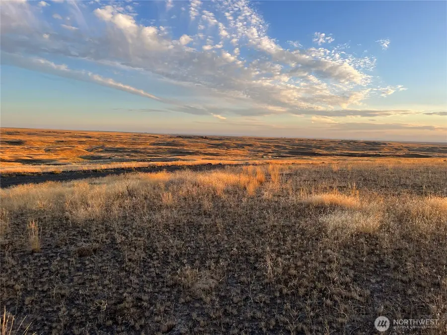 45 Eagle Springs Ranch #45, Wilson Creek, WA 98860 - #2