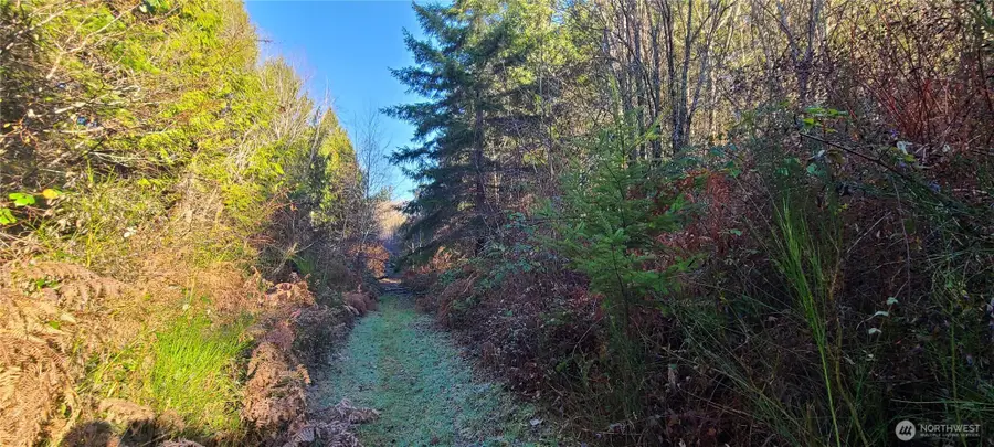 0 Cornwall Road Nw, Lakebay, WA 98349 - #2