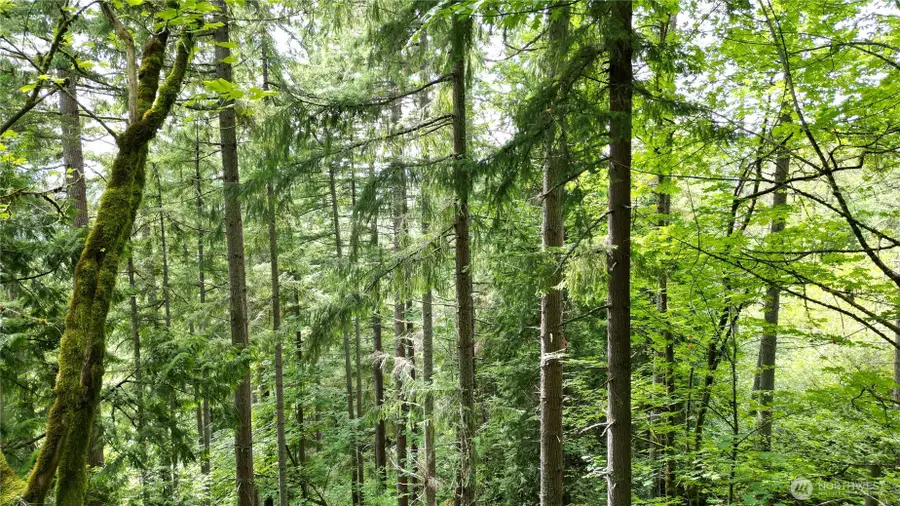 116 Xx 198th Ave Se, Issaquah, WA 98027 - #3