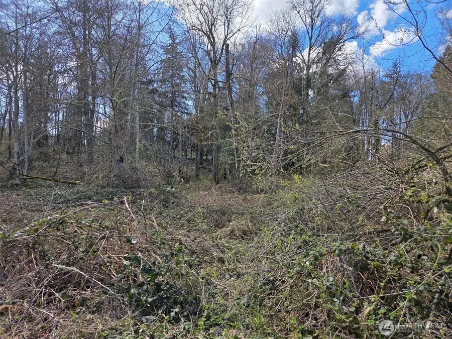 18599 SE 136th St, Renton, WA 98059 - #2